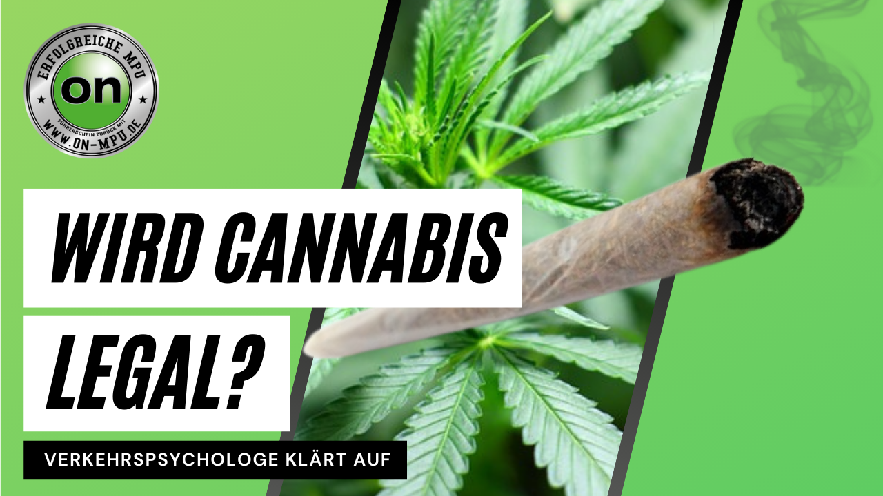 Legalize it! Kommt die Cannabis Legalisierung?