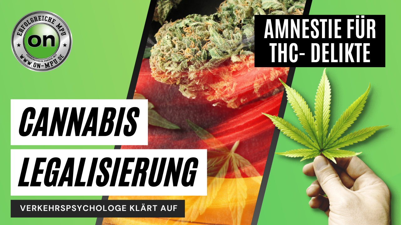 Cannabis Legalisierung: Amnestie, Fahrerlaubnis und MPU