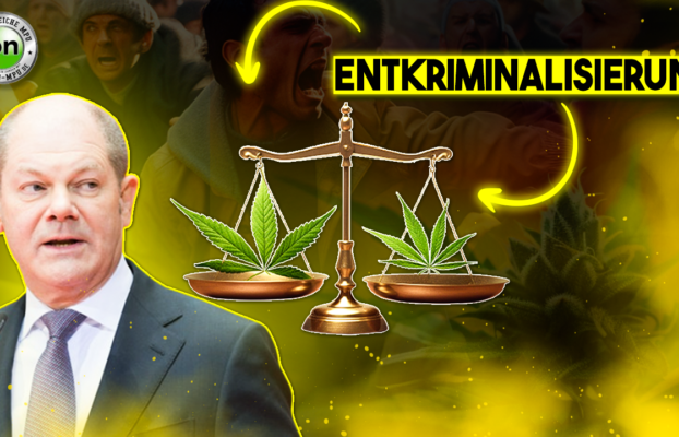 Cannabis-Entkriminalisierung Säule 1: Das musst du wissen, wenn Bubatz legal