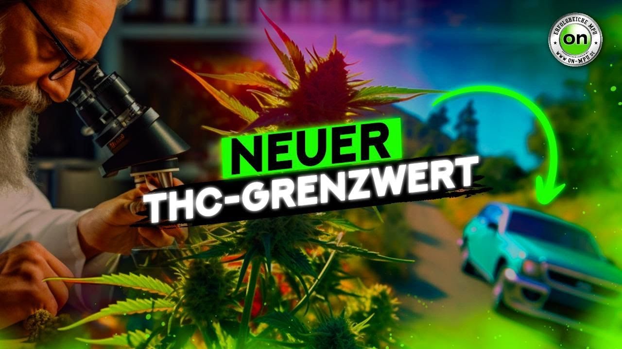 Cannabis im Straßenverkehr: Das wird der neue THC Grenzwert in Deutschland